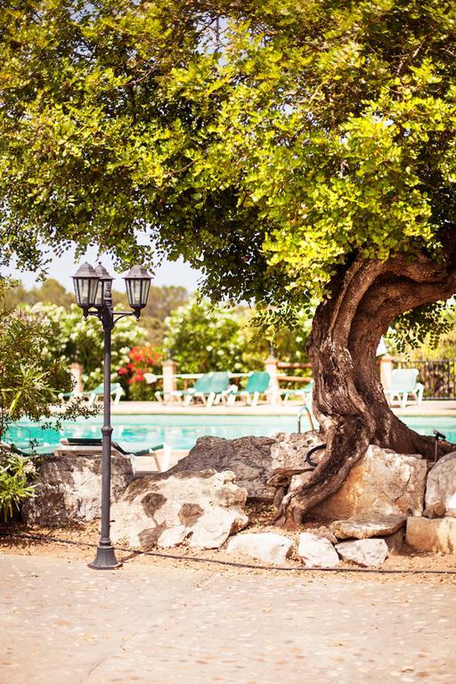Гостевой дом Agroturismo Can Patro Манакор Экстерьер фото
